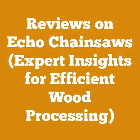 Reviews on Echo Chainsaws (Expert Insights for Efficient Wood Processing)