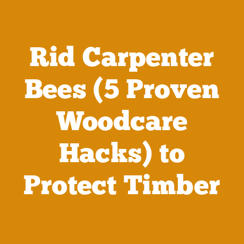 Rid Carpenter Bees (5 Proven Woodcare Hacks) to Protect Timber