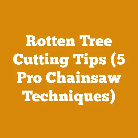 Rotten Tree Cutting Tips (5 Pro Chainsaw Techniques)
