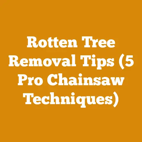 Rotten Tree Removal Tips (5 Pro Chainsaw Techniques)