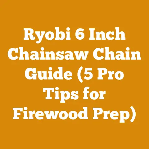 Ryobi 6 Inch Chainsaw Chain Guide (5 Pro Tips for Firewood Prep)