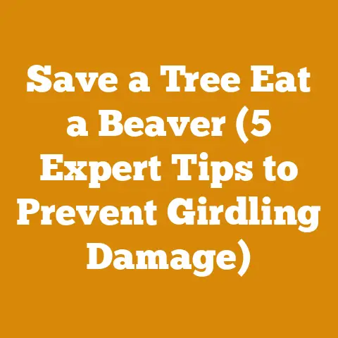 Save a Tree Eat a Beaver (5 Expert Tips to Prevent Girdling Damage)