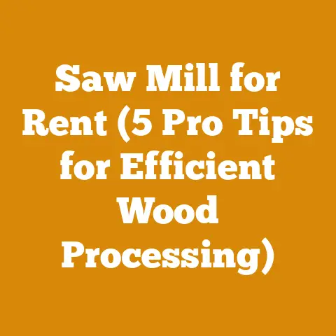 Saw Mill for Rent (5 Pro Tips for Efficient Wood Processing)