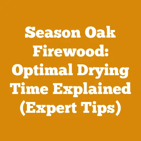 Season Oak Firewood: Optimal Drying Time Explained (Expert Tips)