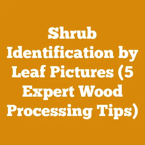 Shrub Identification by Leaf Pictures (5 Expert Wood Processing Tips)