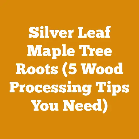 Silver Leaf Maple Tree Roots (5 Wood Processing Tips You Need)