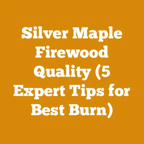 Silver Maple Firewood Quality (5 Expert Tips for Best Burn)