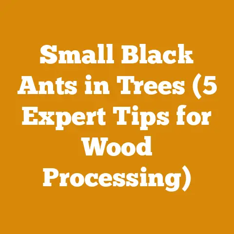 Small Black Ants in Trees (5 Expert Tips for Wood Processing)