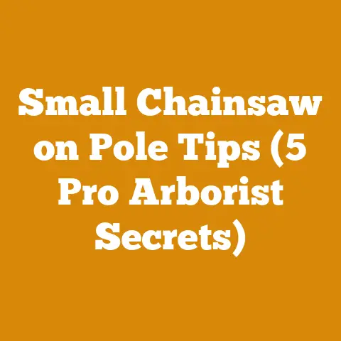 Small Chainsaw on Pole Tips (5 Pro Arborist Secrets)