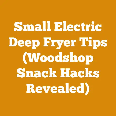 Small Electric Deep Fryer Tips (Woodshop Snack Hacks Revealed)
