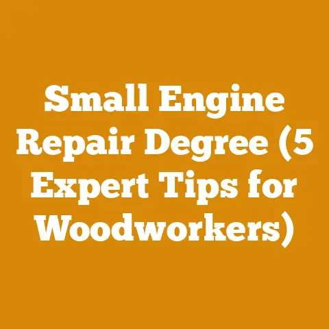 Small Engine Repair Degree (5 Expert Tips for Woodworkers)