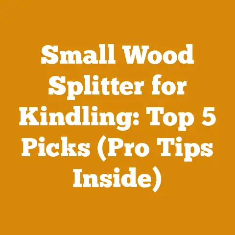 Small Wood Splitter for Kindling: Top 5 Picks (Pro Tips Inside)
