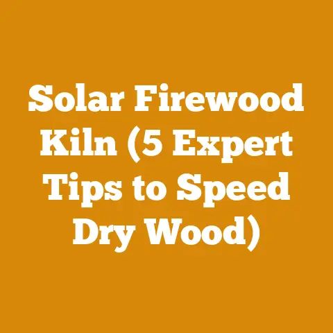Solar Firewood Kiln (5 Expert Tips to Speed Dry Wood)