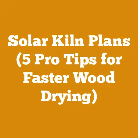Solar Kiln Plans (5 Pro Tips for Faster Wood Drying)