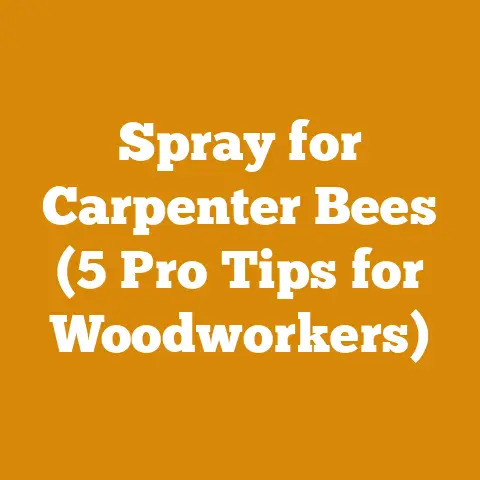 Spray for Carpenter Bees (5 Pro Tips for Woodworkers)