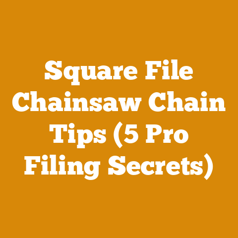 Square File Chainsaw Chain Tips (5 Pro Filing Secrets)
