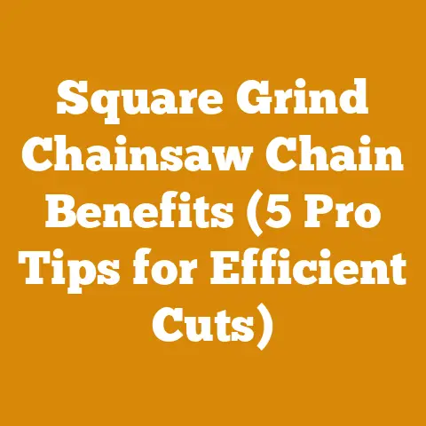 Square Grind Chainsaw Chain Benefits (5 Pro Tips for Efficient Cuts)