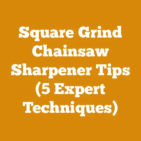 Square Grind Chainsaw Sharpener Tips (5 Expert Techniques)