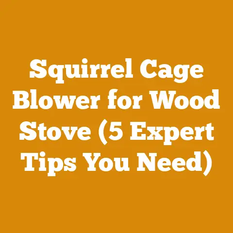 Squirrel Cage Blower for Wood Stove (5 Expert Tips You Need)