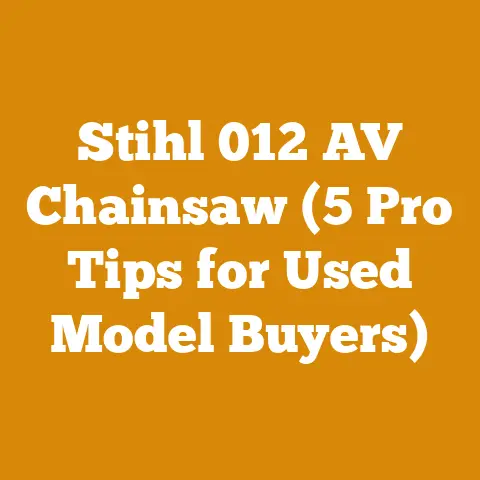 Stihl 012 AV Chainsaw (5 Pro Tips for Used Model Buyers)