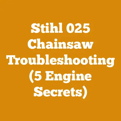 Stihl 025 Chainsaw Troubleshooting (5 Engine Secrets)