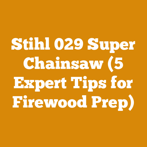 Stihl 029 Super Chainsaw (5 Expert Tips for Firewood Prep)