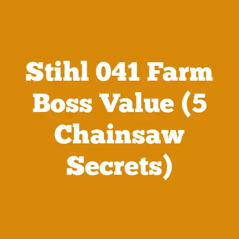 Stihl 041 Farm Boss Value (5 Chainsaw Secrets)