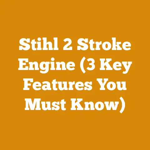 Stihl 2 Stroke Engine (3 Key Features You Must Know)