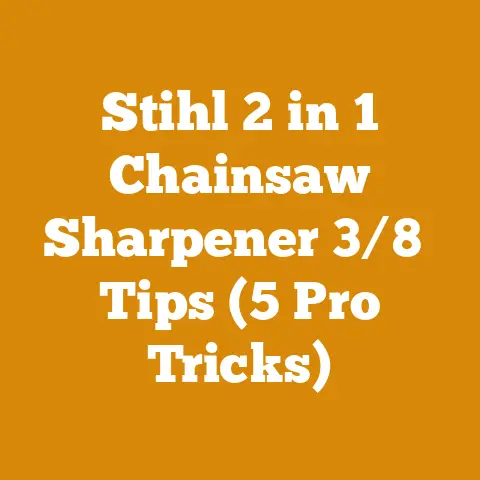 Stihl 2 in 1 Chainsaw Sharpener 3/8″ Tips (5 Pro Tricks)