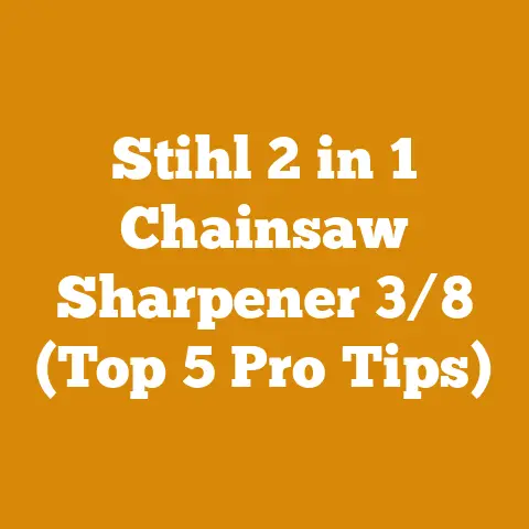 Stihl 2 in 1 Chainsaw Sharpener 3/8 (Top 5 Pro Tips)