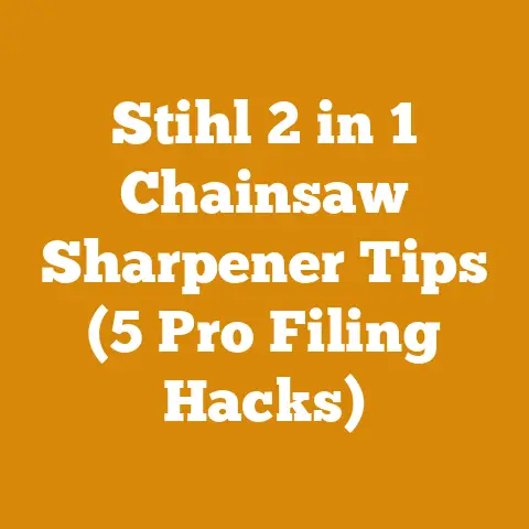 Stihl 2 in 1 Chainsaw Sharpener Tips (5 Pro Filing Hacks)