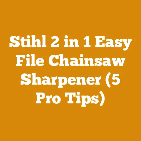 Stihl 2 in 1 Easy File Chainsaw Sharpener (5 Pro Tips)