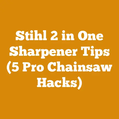 Stihl 2 in One Sharpener Tips (5 Pro Chainsaw Hacks)