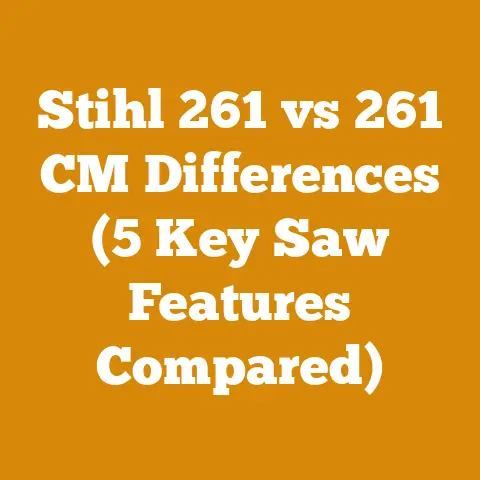 Stihl 261 vs 261 CM Differences (5 Key Saw Features Compared)