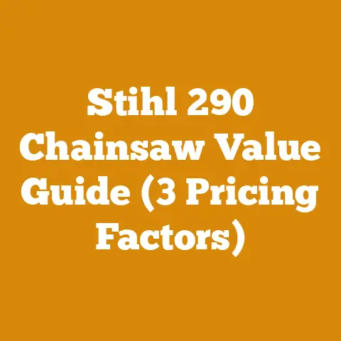Stihl 290 Chainsaw Value Guide (3 Pricing Factors)