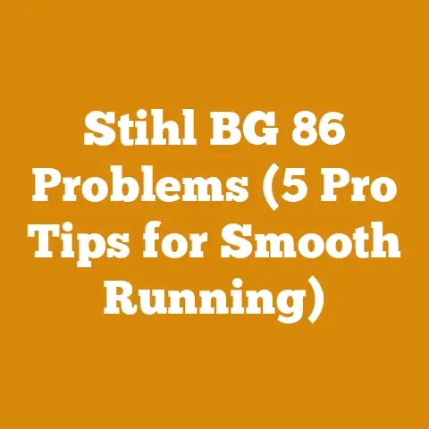 Stihl BG 86 Problems (5 Pro Tips for Smooth Running)