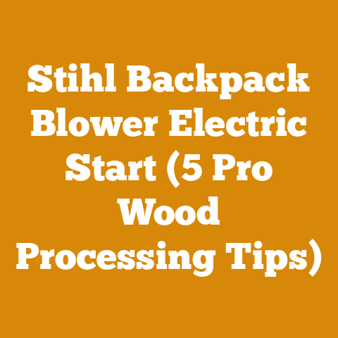 Stihl Backpack Blower Electric Start (5 Pro Wood Processing Tips)