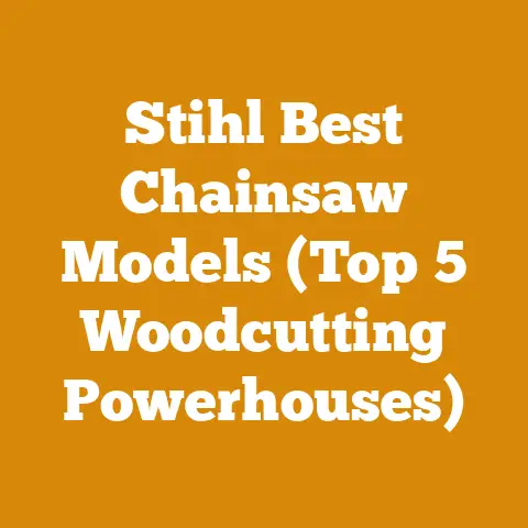 Stihl Best Chainsaw Models (Top 5 Woodcutting Powerhouses)