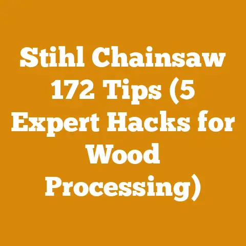 Stihl Chainsaw 172 Tips (5 Expert Hacks for Wood Processing)