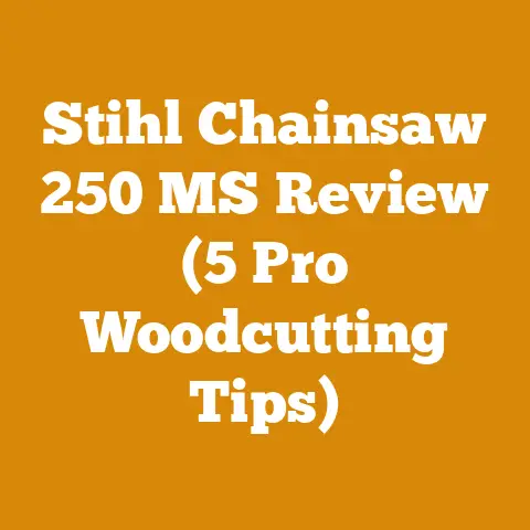 Stihl Chainsaw 250 MS Review (5 Pro Woodcutting Tips)