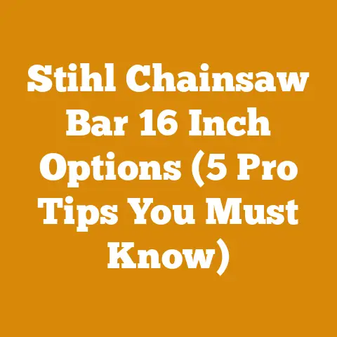 Stihl Chainsaw Bar 16 Inch Options (5 Pro Tips You Must Know)
