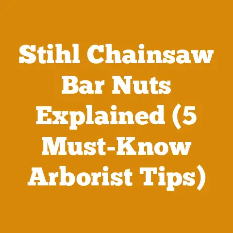 Stihl Chainsaw Bar Nuts Explained (5 Must-Know Arborist Tips)