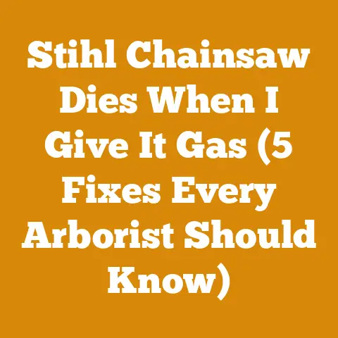 Stihl Chainsaw Dies When I Give It Gas (5 Fixes Every Arborist Should Know)
