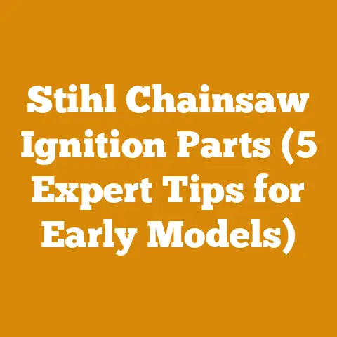 Stihl Chainsaw Ignition Parts (5 Expert Tips for Early Models)