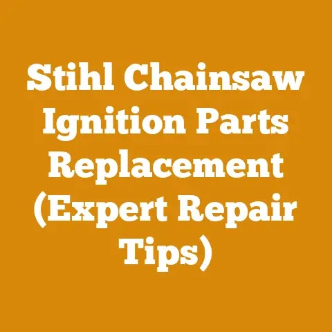 Stihl Chainsaw Ignition Parts Replacement (Expert Repair Tips)
