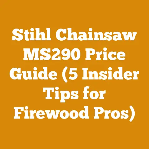 Stihl Chainsaw MS290 Price Guide (5 Insider Tips for Firewood Pros)