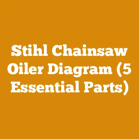 Stihl Chainsaw Oiler Diagram (5 Essential Parts)