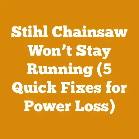 Stihl Chainsaw Won’t Stay Running (5 Quick Fixes for Power Loss)