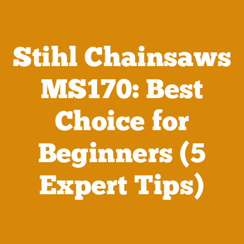 Stihl Chainsaws MS170: Best Choice for Beginners (5 Expert Tips)