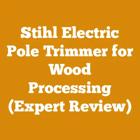 Stihl Electric Pole Trimmer for Wood Processing (Expert Review)